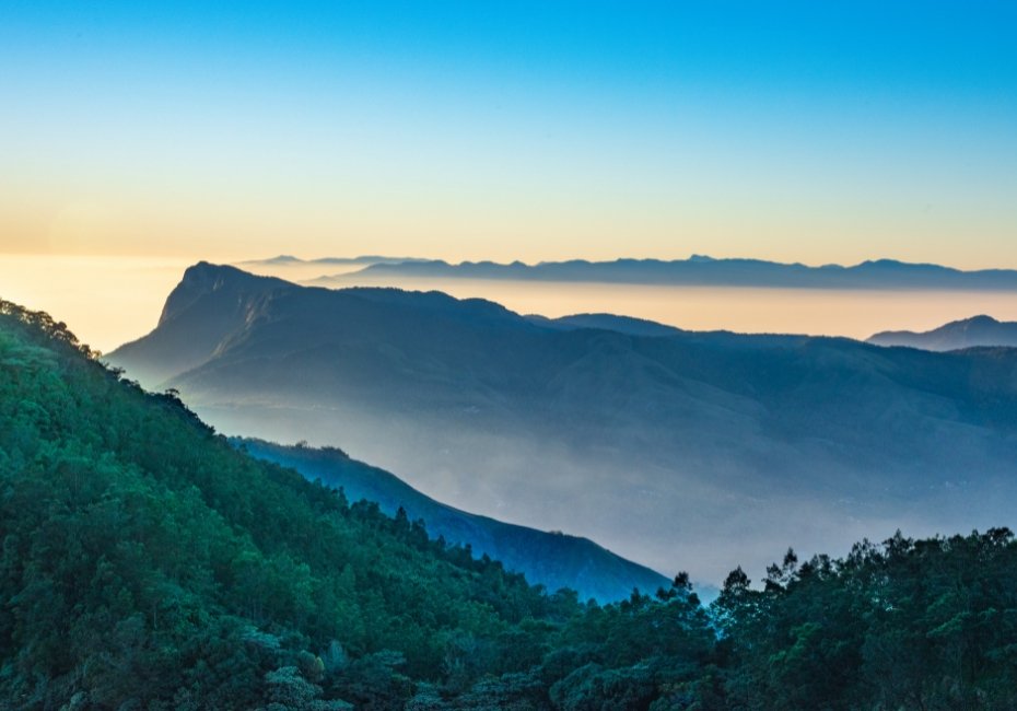 Munnar Destination 2