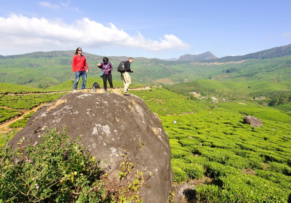 Munnar Destination 3